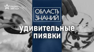 Зачем пиявке три челюсти? Лекция биолога Натальи Носовой