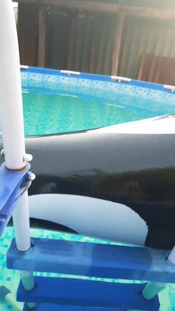 на бане shors смотреть онлайн