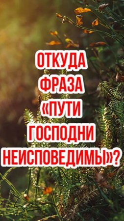 Откуда появилось выражение «Пути Господни неисповедимы»?