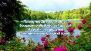 Почему об одном я пою