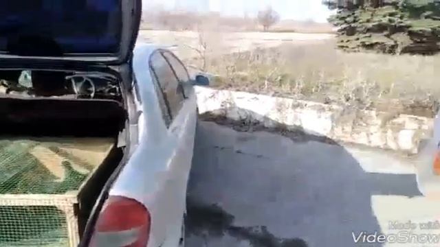 "" ВЫСТАВКА ГОЛУБЕЙ"" ...Г..ВОЛГОДОНСК...6..04..19.. смотреть онлайн