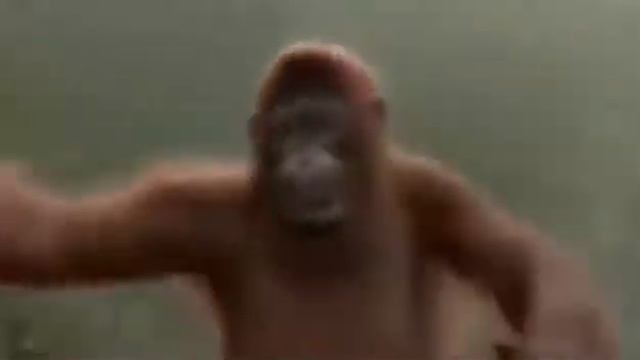 песенка про субботу исполняет обезьяна смотреть онлайн