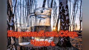 БЕРЁЗОВЫЙ СОК. BIRCH SAP. СБОР БЕЗОВОГО СОКА. ЧАСТЬ 1.
