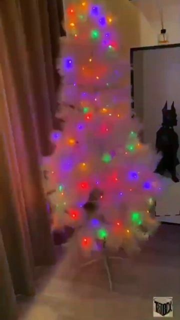 Искусственная пушистая белая сосна❄️ смотреть онлайн