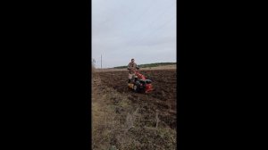 Дробление чеснока и первые дни фрезеровки