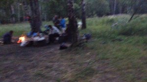 Мы Уйдем из Зоопарка (Лазенки 2016)