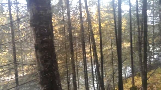 Немец офигевает в России - E256 - Екатеринбург - день 10 - видео 43 - Оленьи ручьи смотреть онлайн