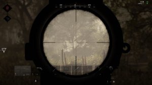 Hunt: Showdown. Лутайтесь осторожно. Дозвуковые патроны. Винтовка Мейнарда с глушителем. Снайпер.