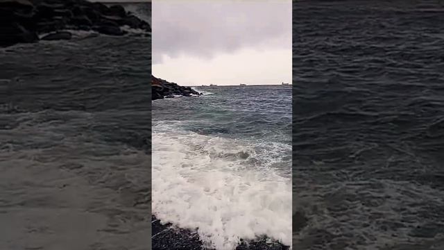 Владивосток. Сегодня здесь, завтра там... #дальнобой #да смотреть онлайн