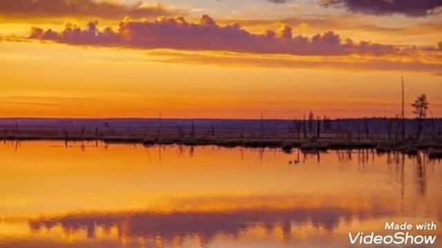 ПриРОДы летняя кРАсота смотреть онлайн