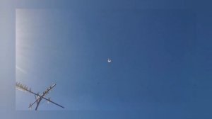 Питомник Медведь А И г Покровск