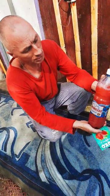 Перекопай огород с ZUKO #алтайскийкрай #огород #zuko #зарин смотреть онлайн