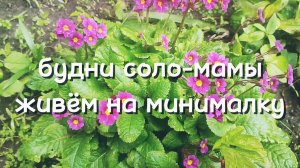 ОДНА С ДВУМЯ ДЕТЬМИ ЖИВУ НА МИНИМАЛКУ