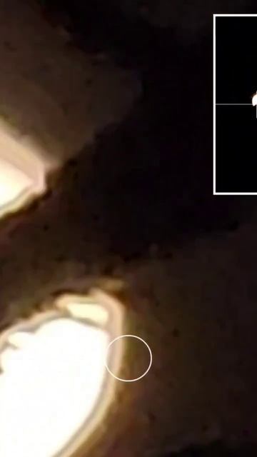 Луна среди елей смотреть онлайн