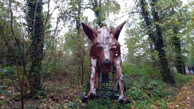 Встреча в осеннем лесу.#shorts Meeting in the autumn forest смотреть онлайн