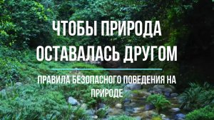 Чтобы природа оставалась другом
