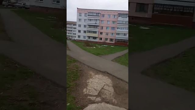 Коты, кошечки. Выбираем, что лучше - вечное лето или сме смотреть онлайн