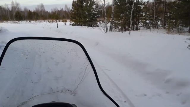 Выезд в магазин из леса на снегоходе тикси 250 люкс (вид?