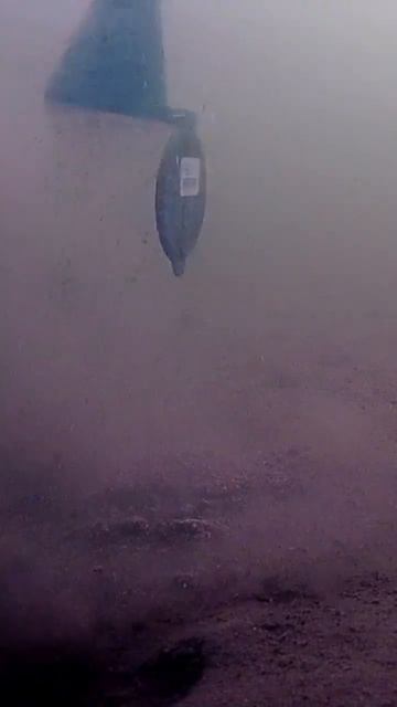 #КАК РАСКРЫВАЕТСЯ КОРМУШКА В ВОДЕ. смотреть онлайн