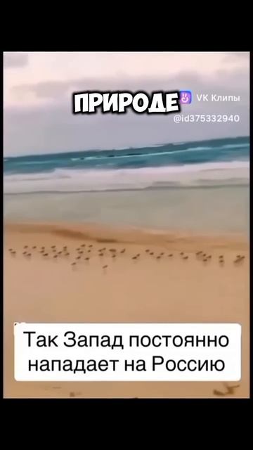 ★彡( Россия Победит! Россия Всегда Побеждает! )彡★серд? смотреть онлайн