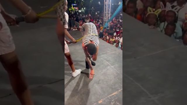 Форточку открытой больше не оставлю😅