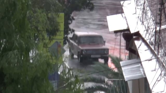 Перед тропическим ливнем /картины природы в Сочинских субтропиках/ смотреть онлайн