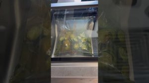 Вакууматор встраиваемый, РЕЦЕПТЫ и принцип работы