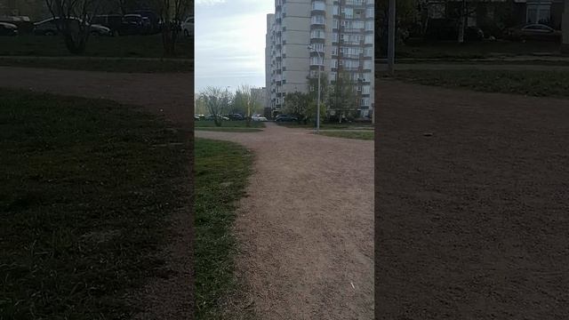 Погода в Санкт-Петербурге Невском районе 14 марта 2025
от Крыленко до Огнева