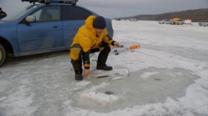 E49 Зимняя рыбалка на селедку в Тавричанке. Ловчие снас?