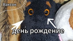 день рождения Ваксона (10 мая)