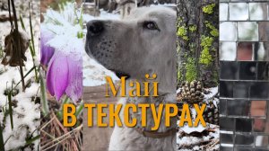 Весенние текстуры середины мая в Сибири, полный релакс. Расслабься, не парься и будь счастлив!