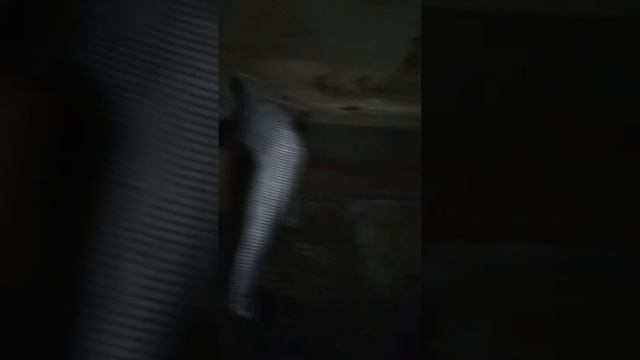 Это наш сарай внутри и снаружи смотреть онлайн