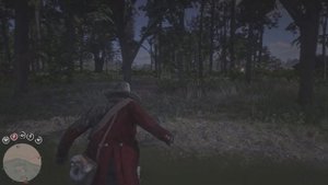 Red Dead Redemption 2 орхидеи Леди ночи