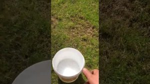 Самое дешовое удобрение для старта газона.