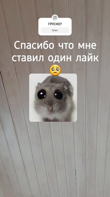 мне тут есть много вопросов#актив смотреть онлайн