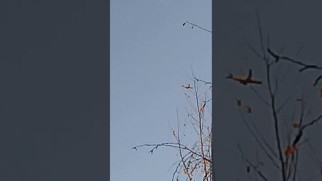 Боинг 787-9 dreamlainer Etihad Airways пролёт на даче в Пулково. смотреть онлайн