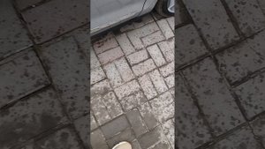 VID_20250514_162601