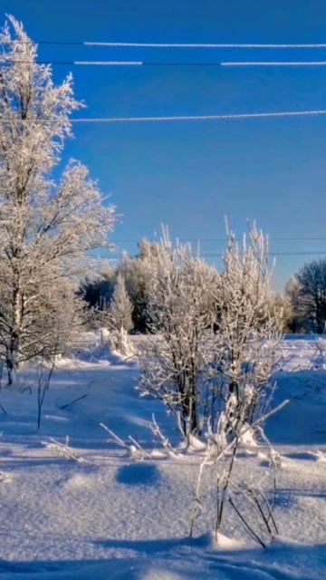 Многоснежная зима ❄️❄️❄️ (архив)Карелия. смотреть онлайн