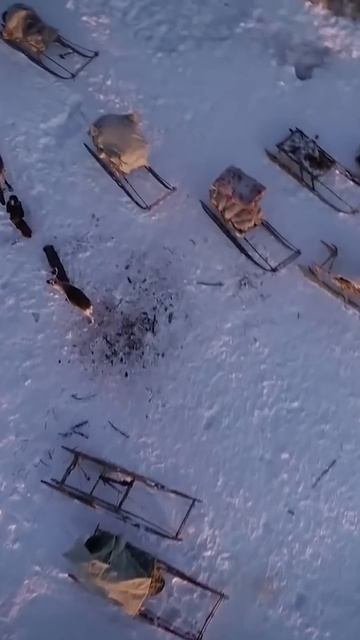 📍Ненцы - уникальный самобытный народ России #крайний? смотреть онлайн