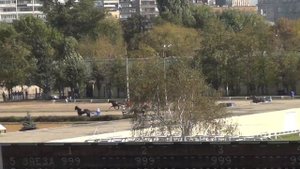 Московский ипподром. Бега. 21.09.14. Заезд 5(479). ПРИЗ ИМЕНИ ЛОКОТСКОГО КОННОГО ЗАВОДА