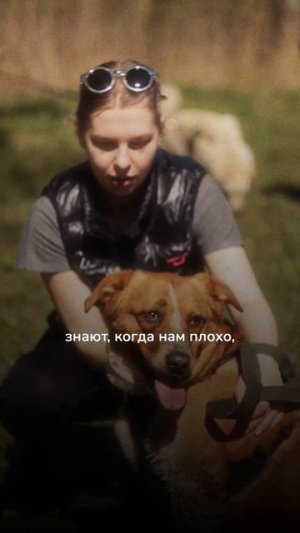 Вы когда-нибудь задумывались...?🐶🐱