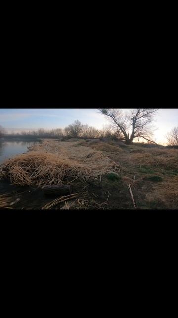 Клювання на мікро мандулу . Перша риба на мандулу #fishing смотреть онлайн