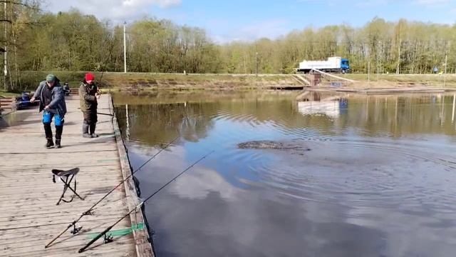 Поимка форели смотреть онлайн