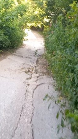20240804 - Спуск на частный сектор с ул. Народной