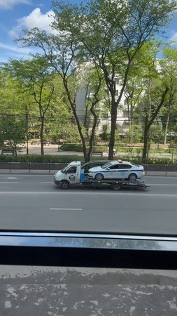И их тоже?)))