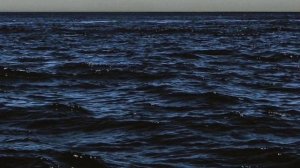 Доминик Джокер "Если ты со мной" текст песни