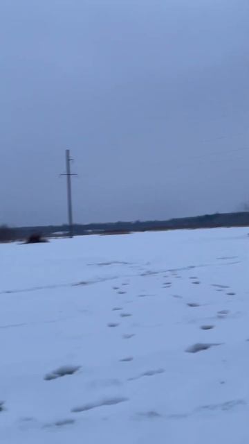 Большой компанией #fish #риба #риболов #рыба #рыбак #рибал смотреть онлайн