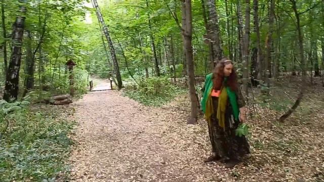 Елена Чижова.  Подкормочная площадка