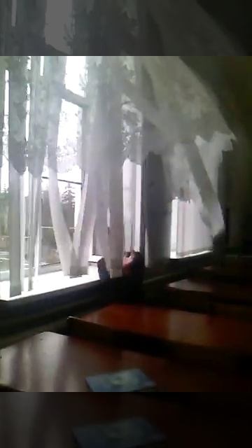 Школы Ставрополья смотреть онлайн