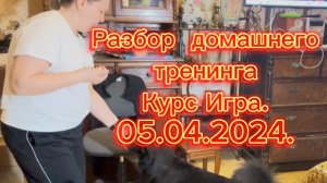 Разбор тренинга глазами инструктора.